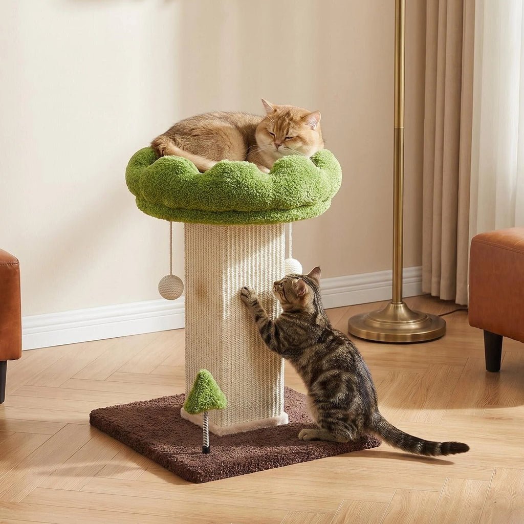 Arranhador em forma de flor com poleiro removível e bola interativa suspensa, em sisal natural, para gatos de interior